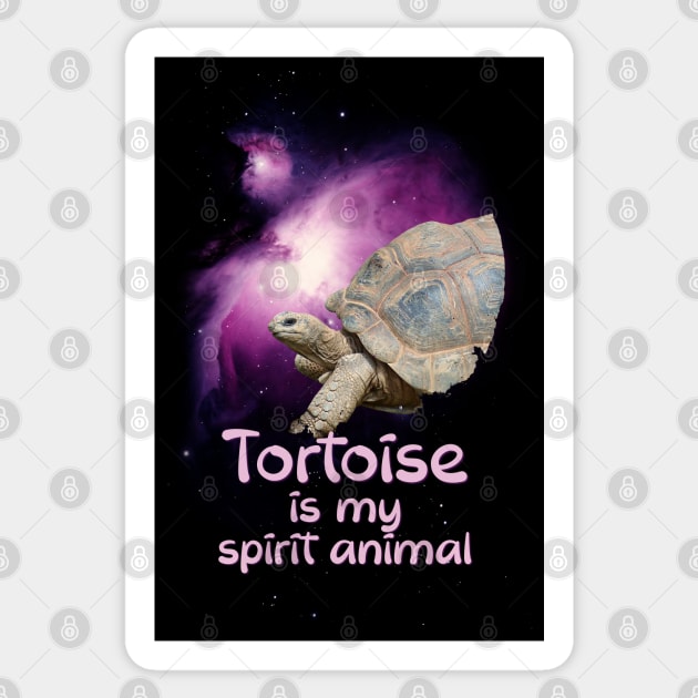Tortoise is my Spirit Animal, Tortoise Lover Gift Sticker by Fusti